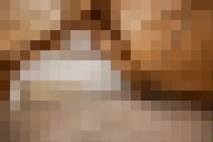 Kappeweg 10 Wijhe thumbnail 28