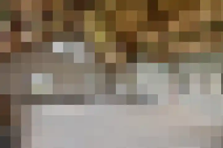 Kappeweg 10 Wijhe thumbnail 30