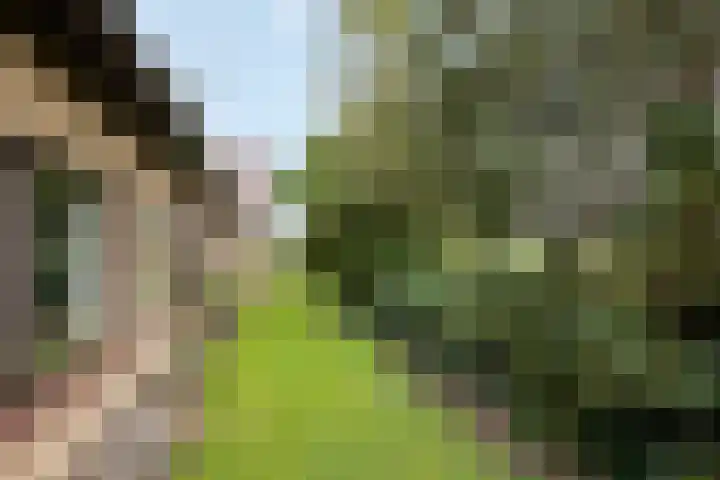 Kappeweg 10 Wijhe thumbnail 33