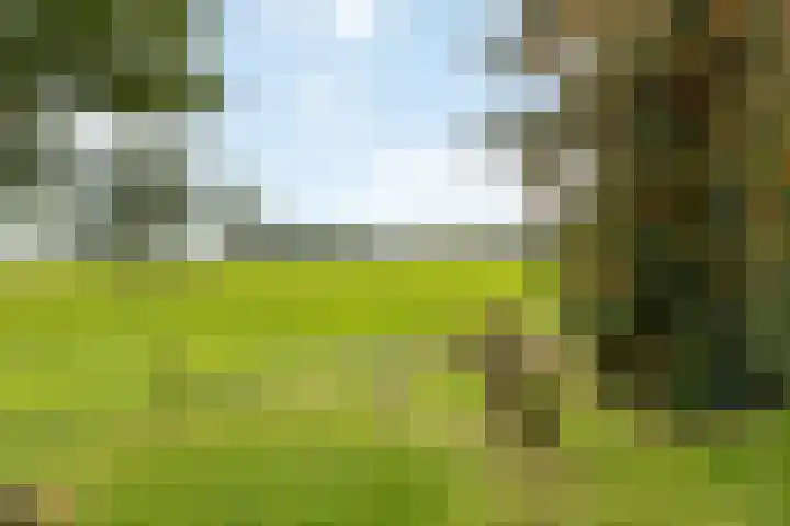 Kappeweg 10 Wijhe thumbnail 38
