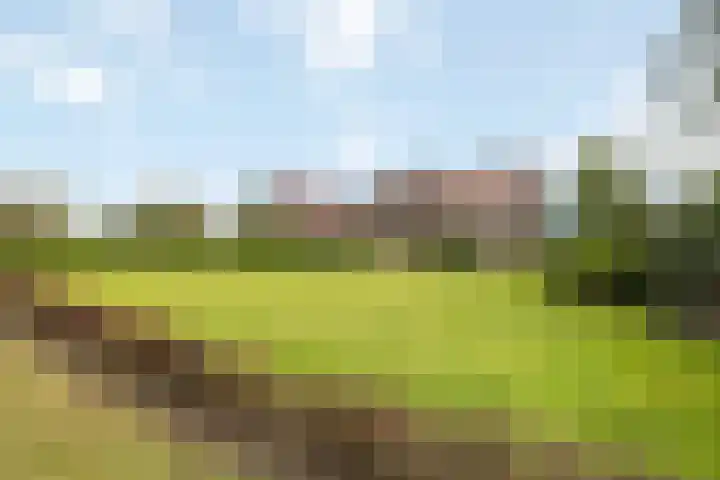 Kappeweg 10 Wijhe thumbnail 6