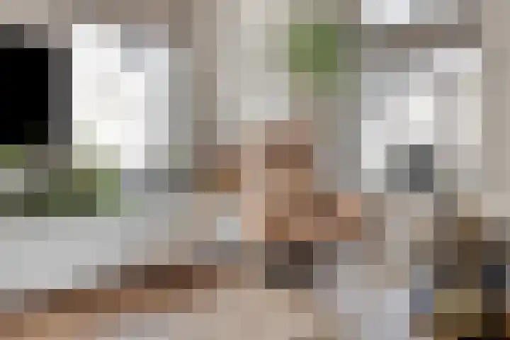 Kappost 10 Best thumbnail 16
