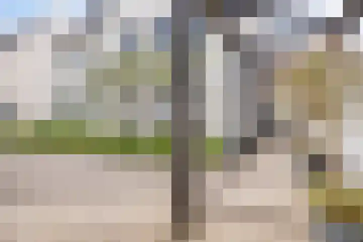 Kappost 10 Best thumbnail 4