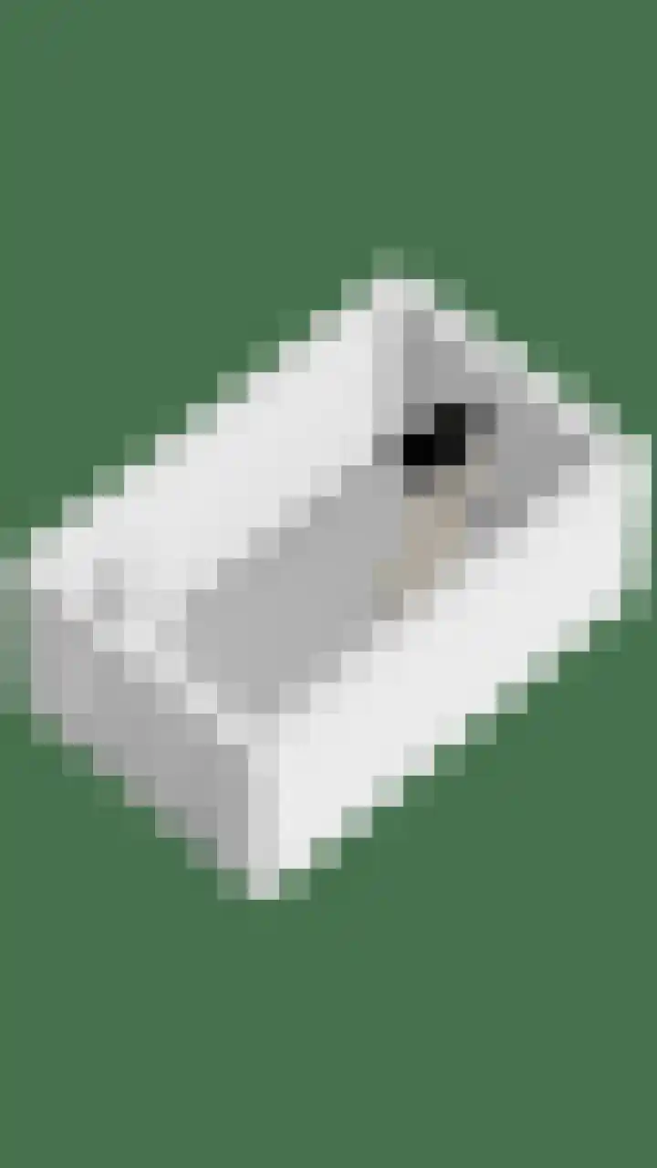 Kappost 10 Best thumbnail 81