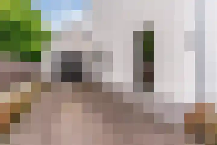 Kappost 16 Best thumbnail 10