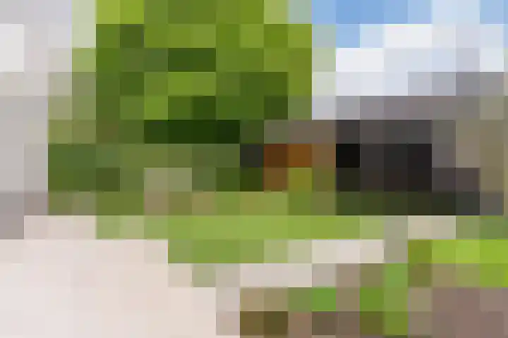 Kappost 16 Best thumbnail 43