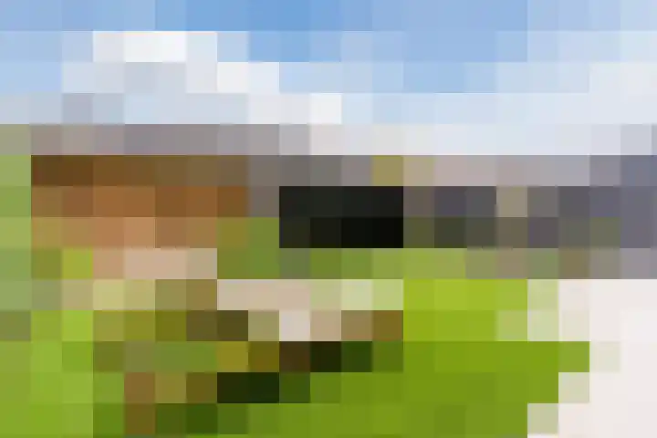 Kappost 16 Best thumbnail 44