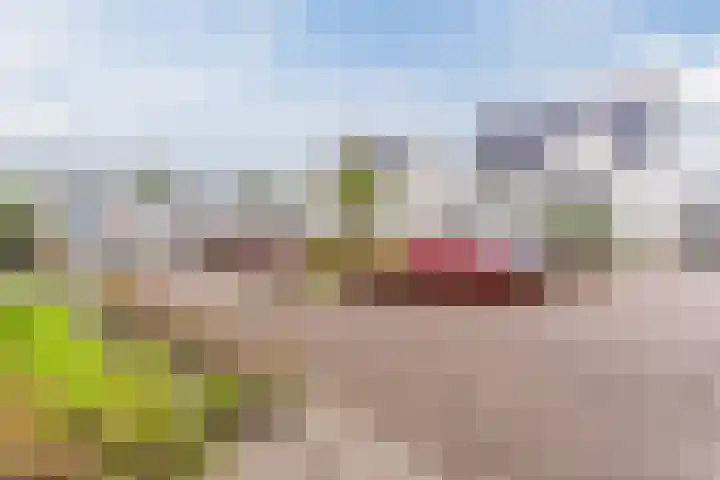 Kappost 16 Best thumbnail 51