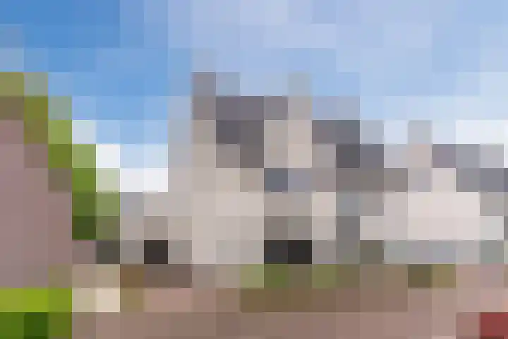 Kappost 16 Best thumbnail 56