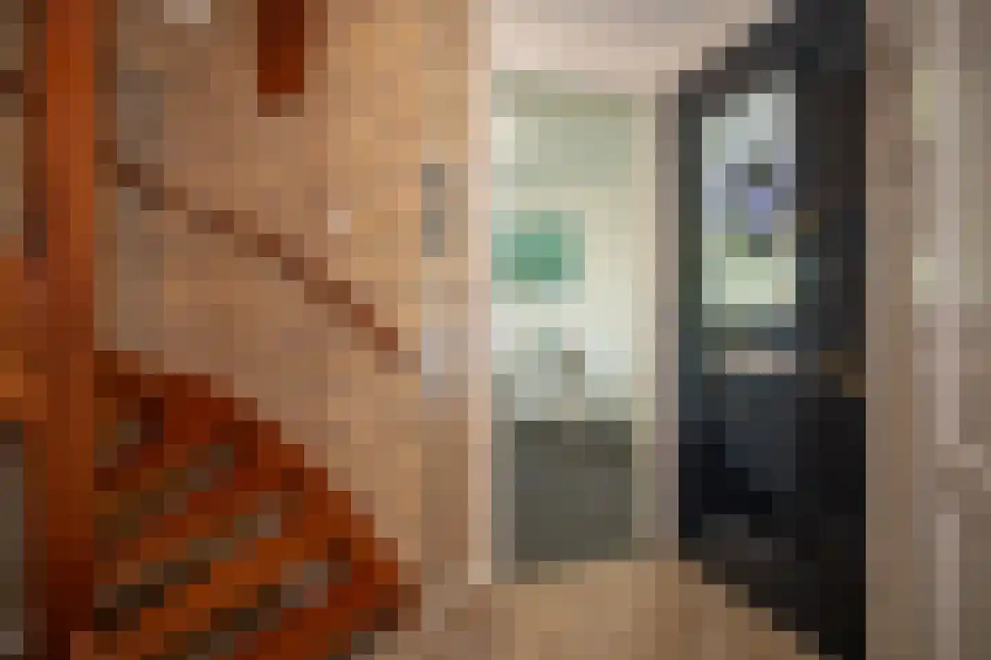 Kapteynlaan 3 Almelo thumbnail 18