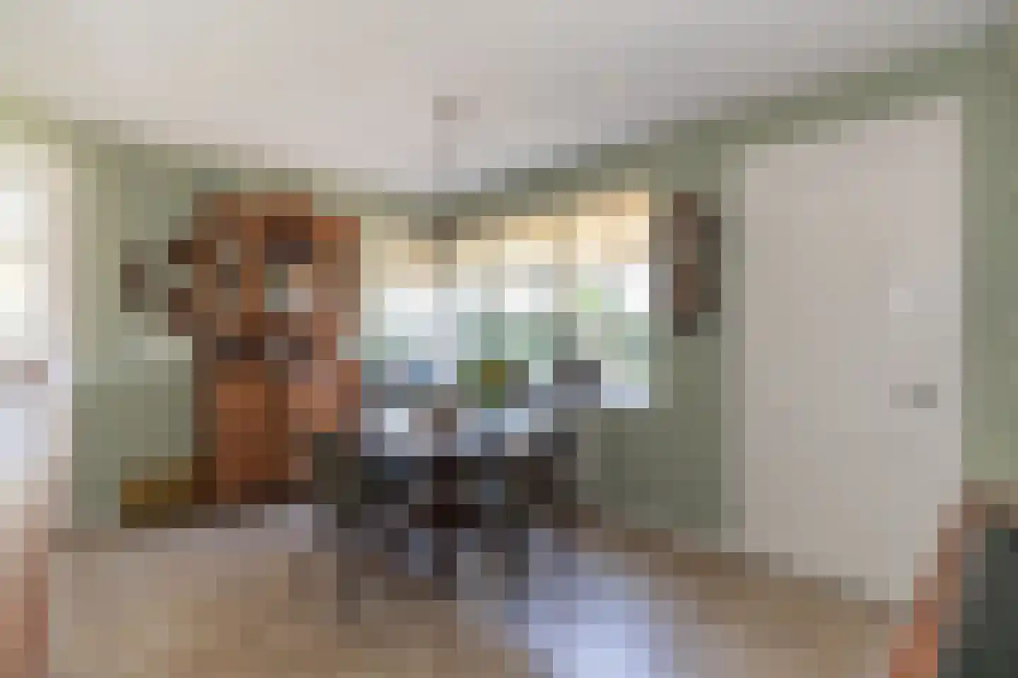 Kapteynlaan 3 Almelo thumbnail 31