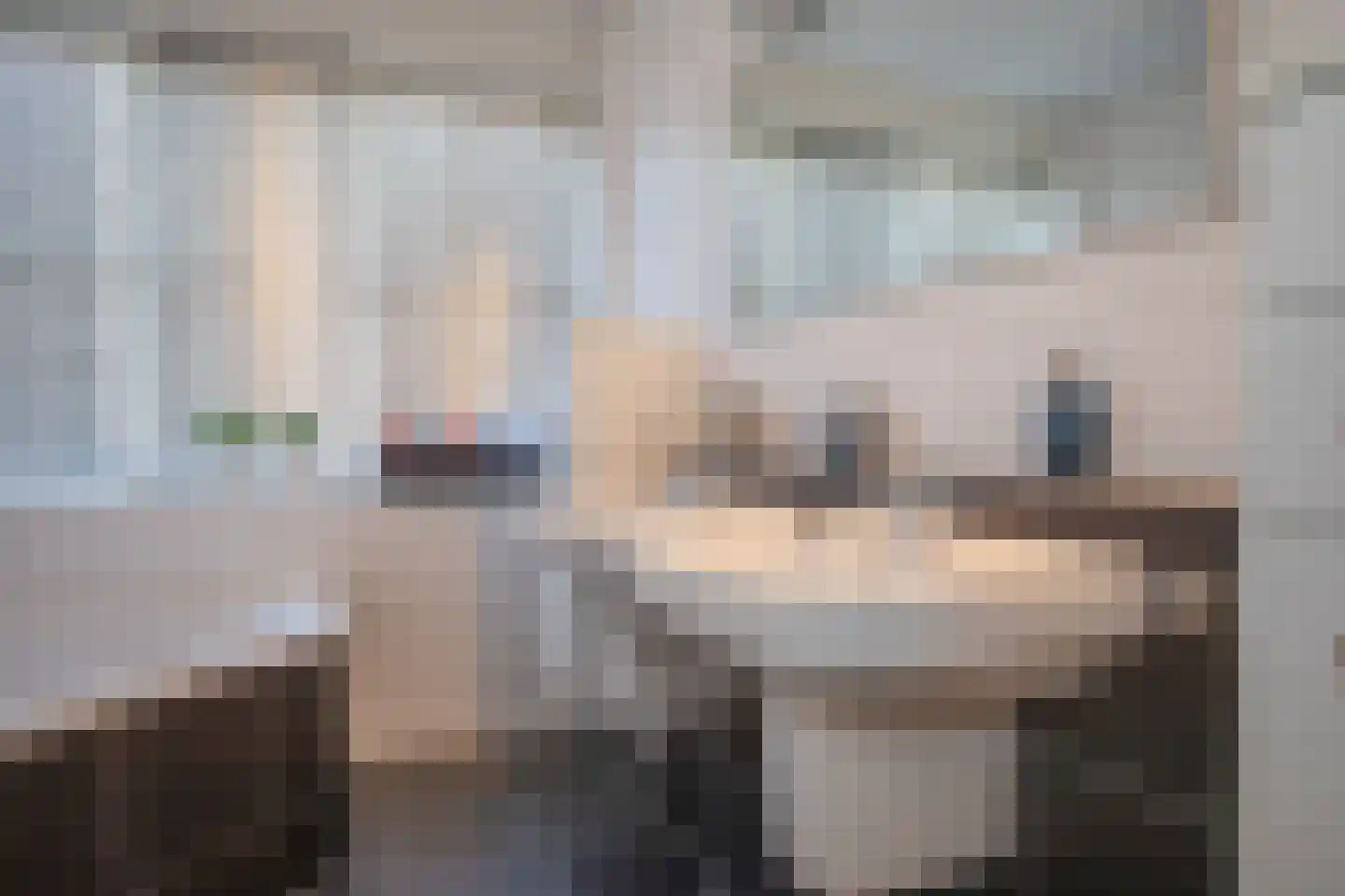 Kapteynlaan 3 Almelo thumbnail 39