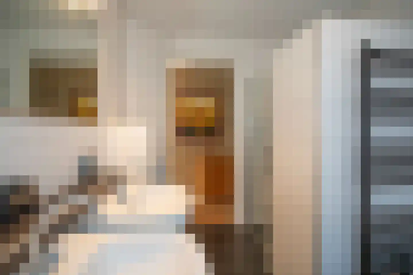 Kapteynlaan 3 Almelo thumbnail 40
