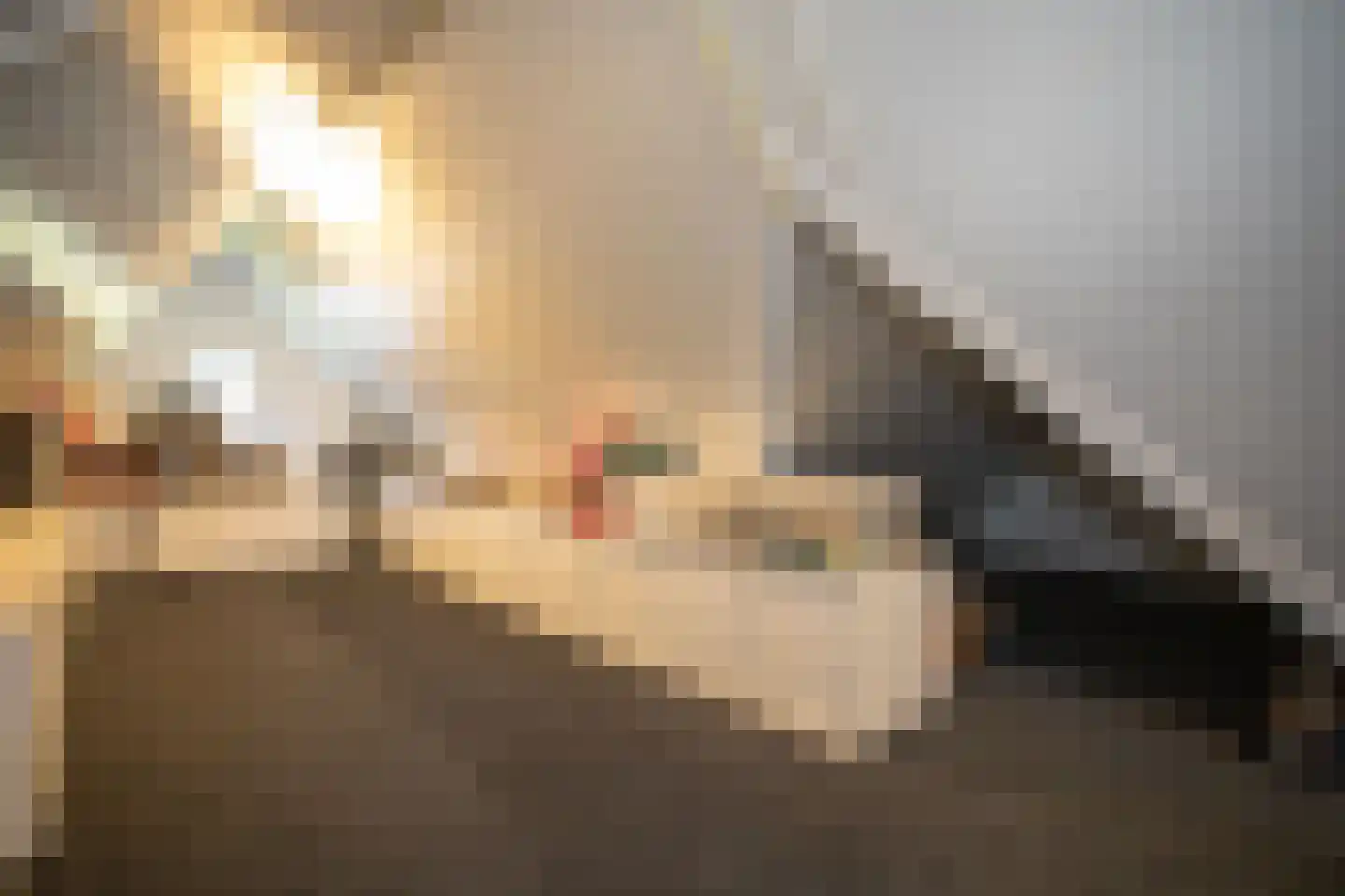 Kapteynlaan 3 Almelo thumbnail 49
