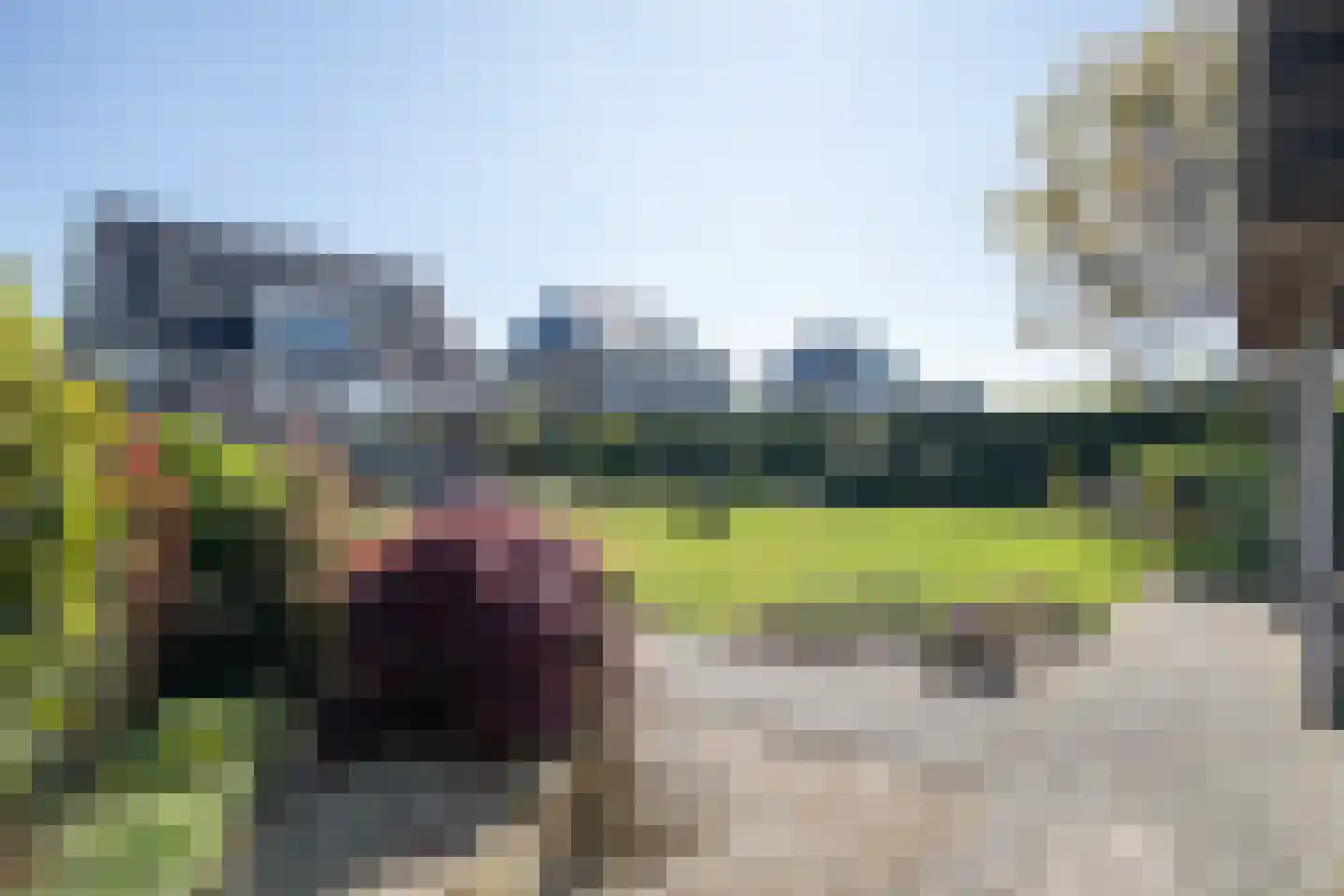 Kapteynlaan 3 Almelo thumbnail 52