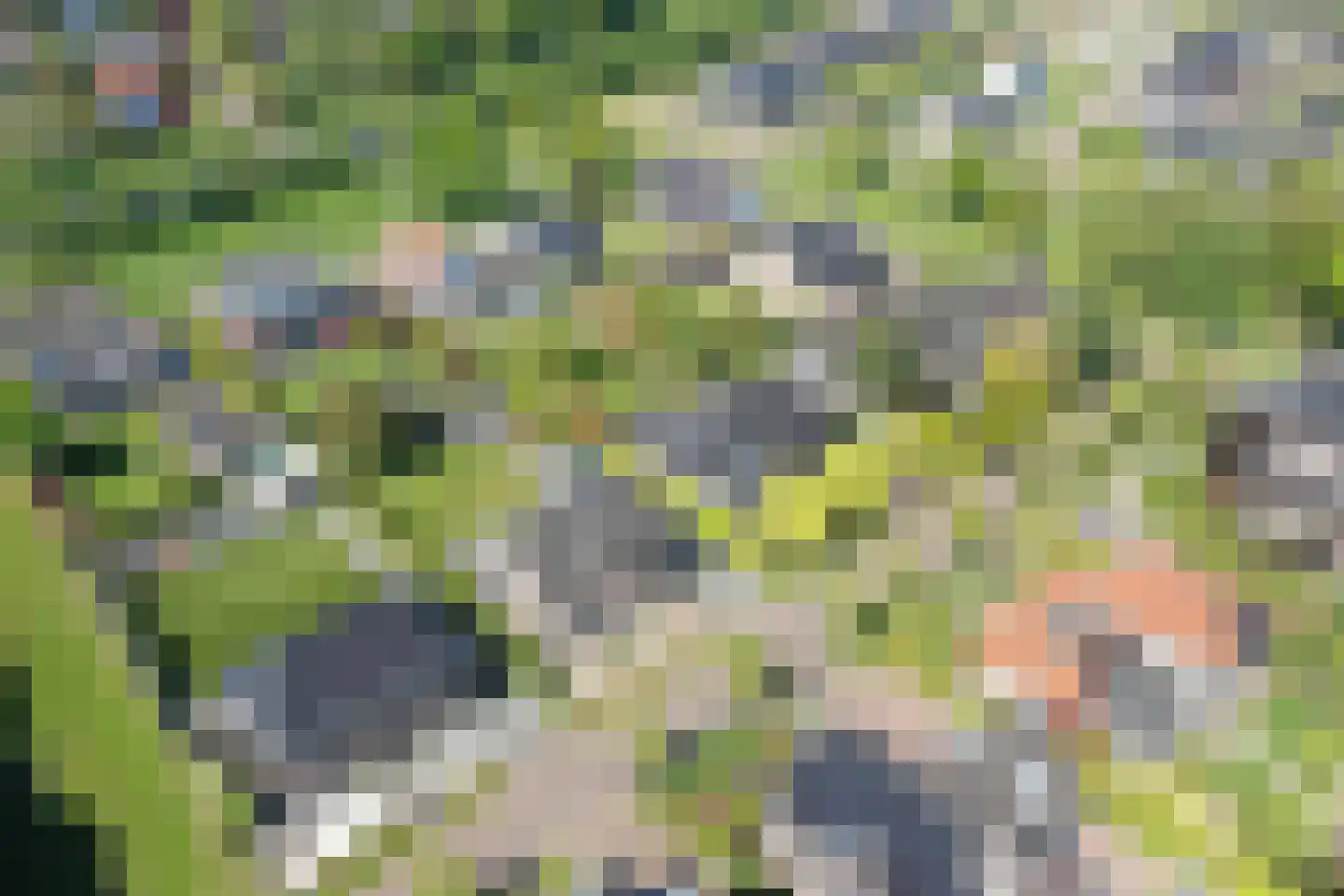 Kapteynlaan 3 Almelo thumbnail 67