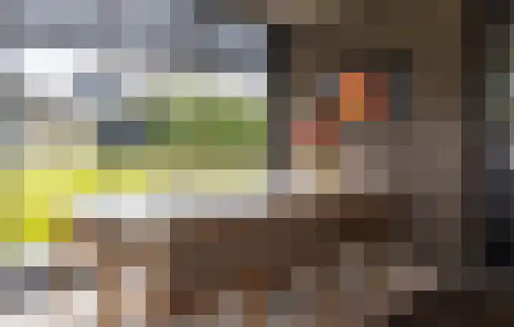 Kapteynlaan 5 Almelo thumbnail 20