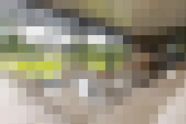 Kapteynlaan 5 Almelo thumbnail 22