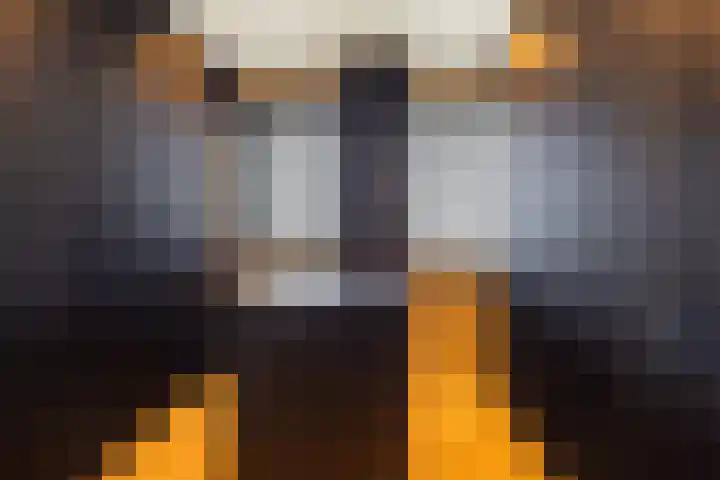 Kapteynlaan 5 Almelo thumbnail 26