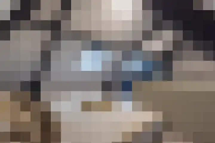 Kapteynlaan 5 Almelo thumbnail 33