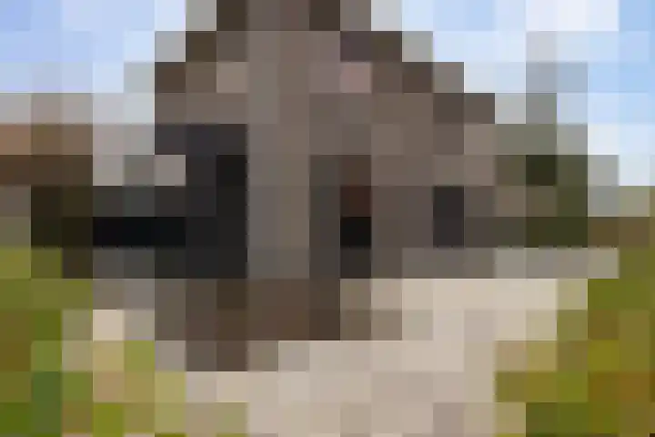 Kapteynlaan 5 Almelo thumbnail 36