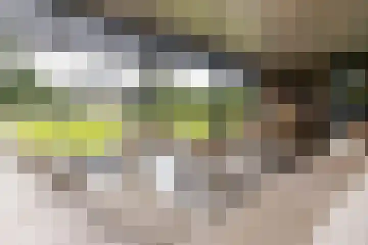 Kapteynlaan 5 Almelo thumbnail 4