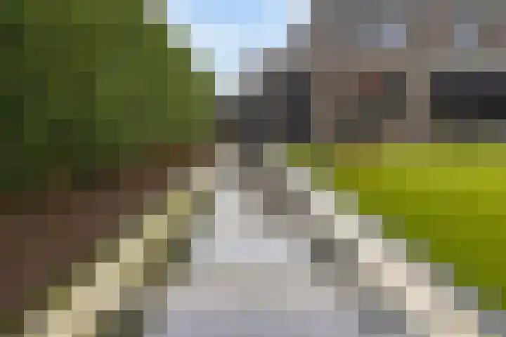 Kapteynlaan 5 Almelo thumbnail 46