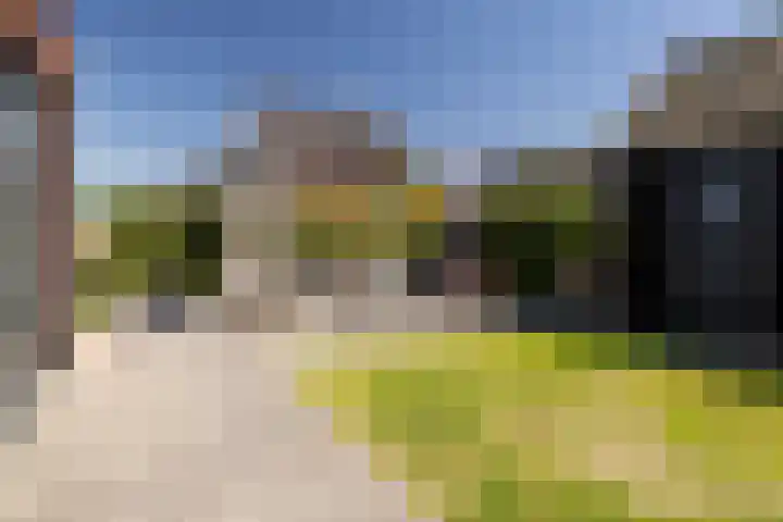 Kapzolder 30 Nunspeet thumbnail 13