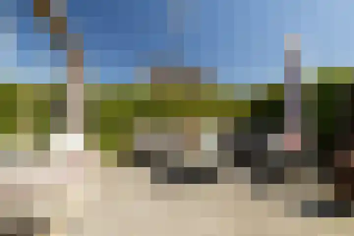 Kapzolder 30 Nunspeet thumbnail 14