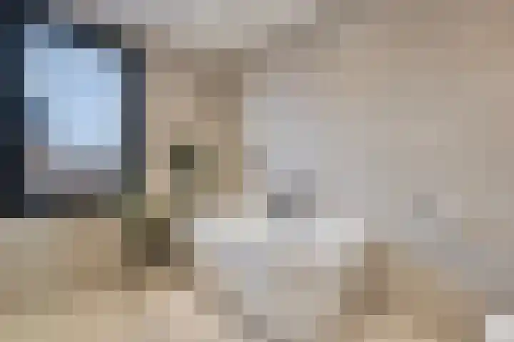 Kardemom 2 Numansdorp thumbnail 30