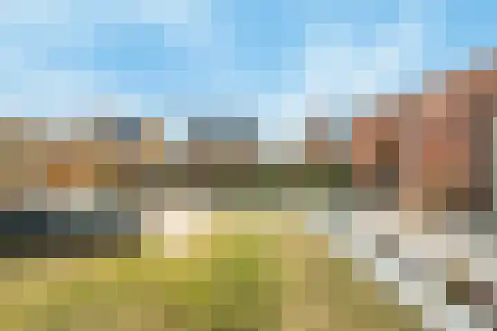 Kardemom 2 Numansdorp thumbnail 40