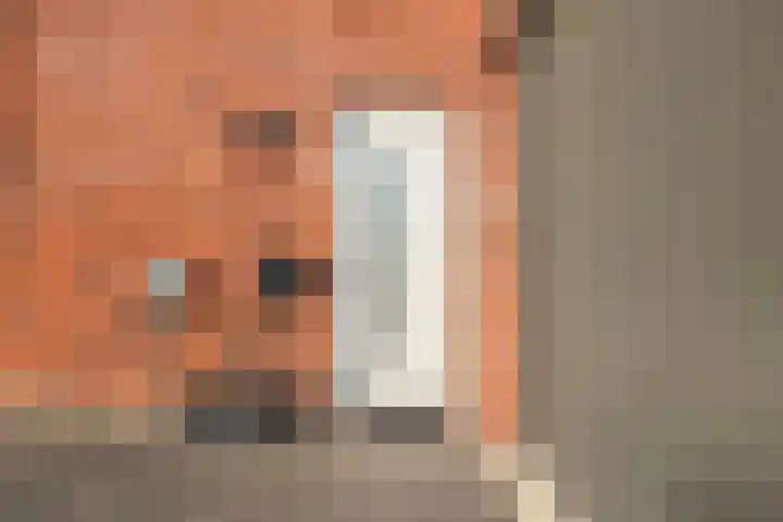 Kardemom 2 Numansdorp thumbnail 51