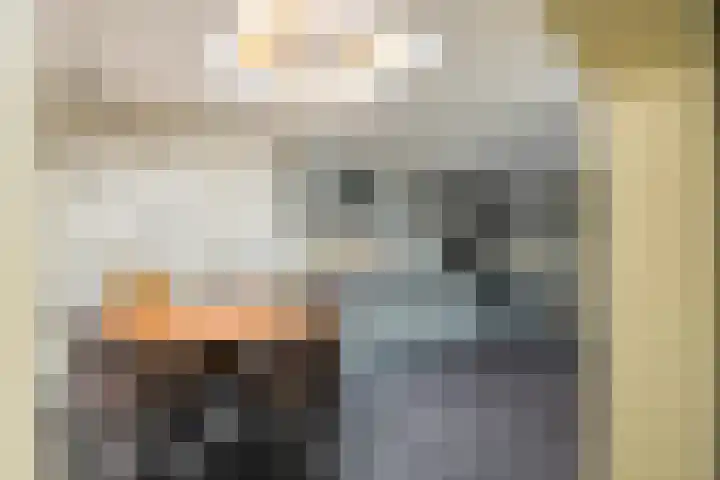 Kardinaalsmuts 150 Cuijk thumbnail 10
