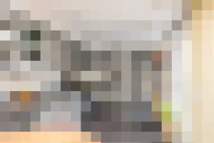 Kardinaalsmuts 150 Cuijk thumbnail 11