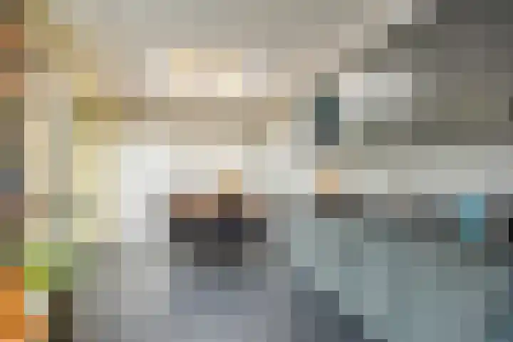Kardinaalsmuts 150 Cuijk thumbnail 12