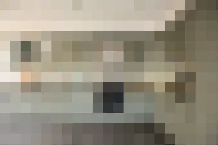 Kardinaalsmuts 150 Cuijk thumbnail 13
