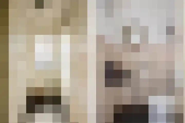 Kardinaalsmuts 150 Cuijk thumbnail 14