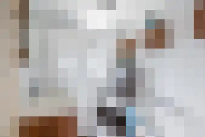 Kardinaalsmuts 150 Cuijk thumbnail 18