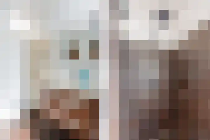 Kardinaalsmuts 150 Cuijk thumbnail 19