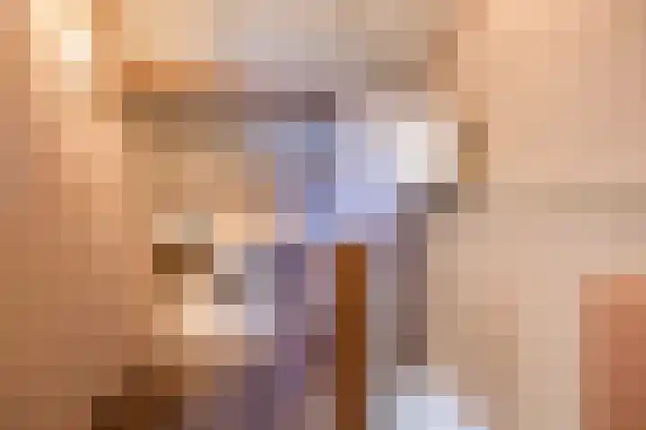 Kardinaalsmuts 150 Cuijk thumbnail 25