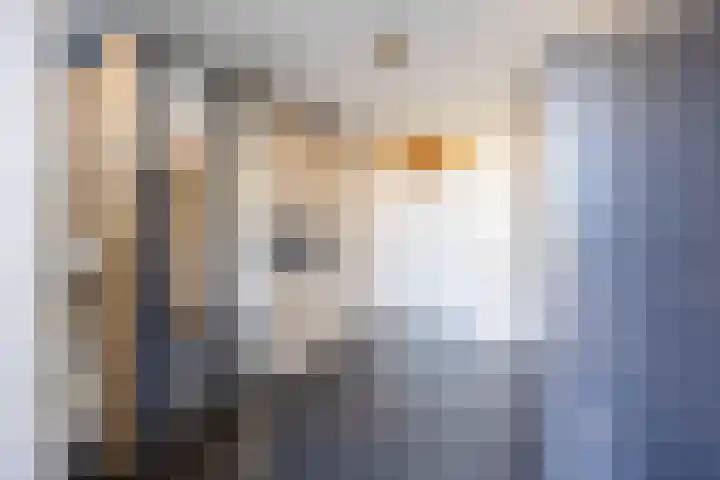 Kardinaalsmuts 150 Cuijk thumbnail 29
