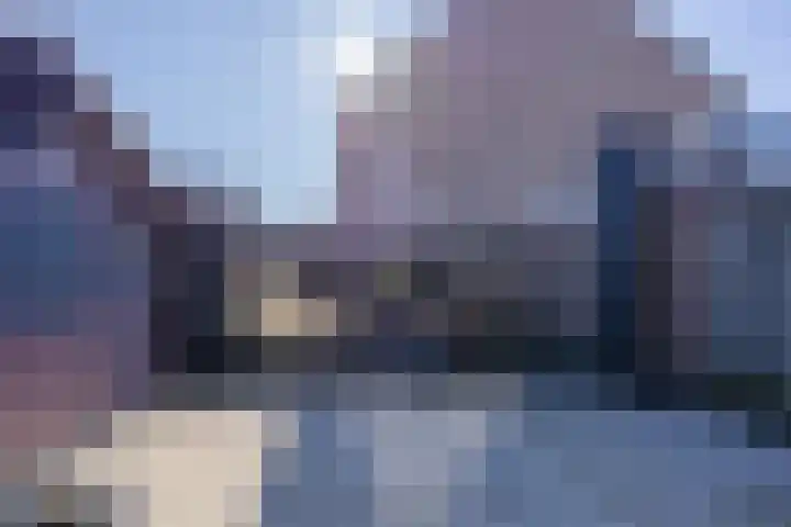 Kardinaalsmuts 150 Cuijk thumbnail 30