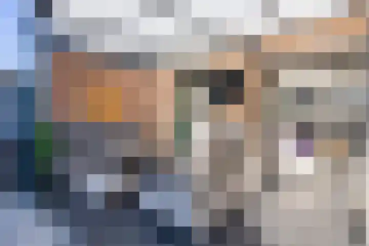 Kardinaalsmuts 150 Cuijk thumbnail 32