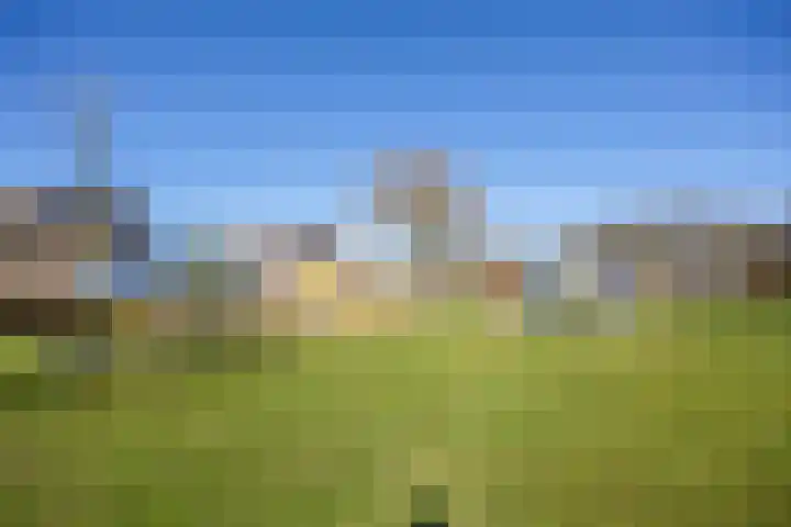 Kardinaalsmuts 150 Cuijk thumbnail 34