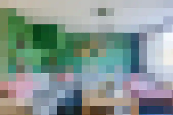 Kardinaalsmuts 150 Cuijk thumbnail 4