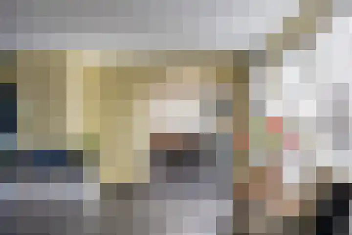 Kardinaalsmuts 150 Cuijk thumbnail 9