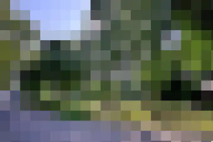 Kardinaalsmuts 43 Deventer thumbnail 34