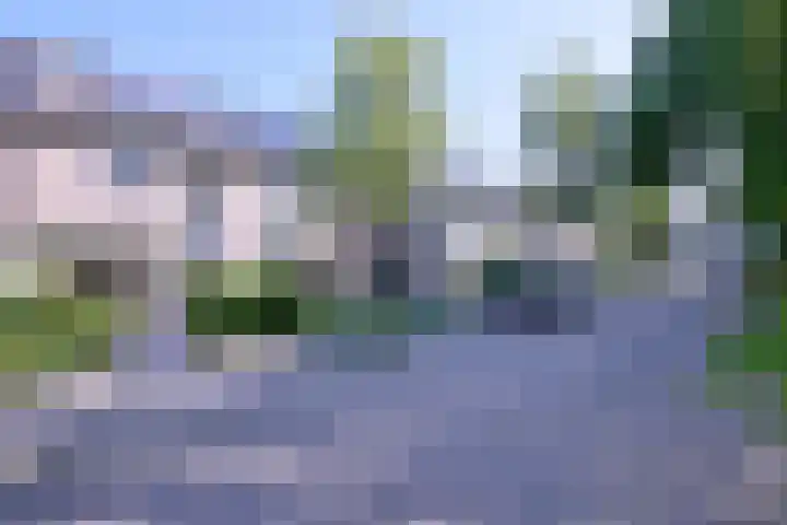 Kardinaalsmuts 43 Deventer thumbnail 36