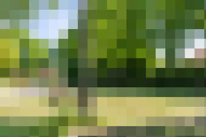 Kardinaalsmuts 47 Deventer thumbnail 29