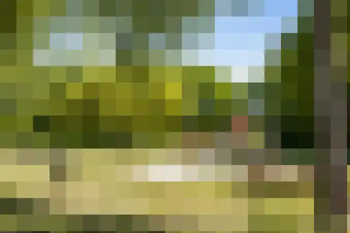 Kardinaalsmuts 47 Deventer thumbnail 30